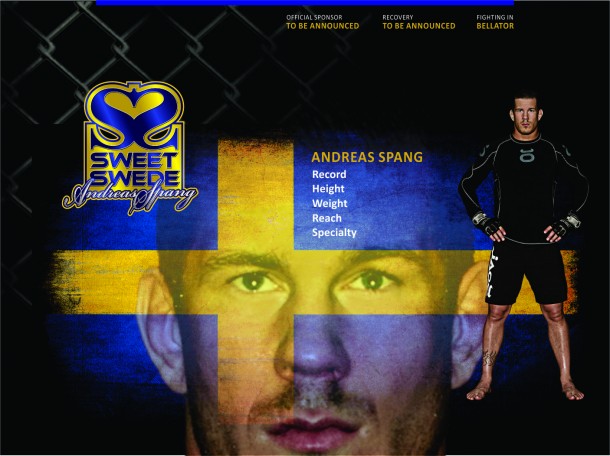 AndreasSpangWebsite