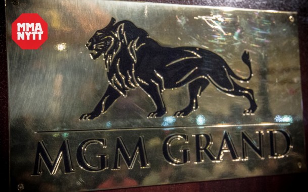 MGM lion ufc 162 mmanytt studiomma