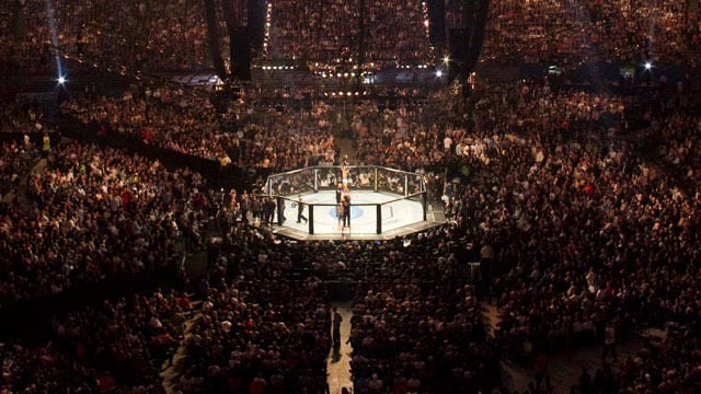ufc-octagon