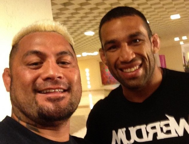 Mark Hunt och Fabricio Werdum