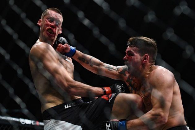 Magnus Cedenblad förlorade mot UFC-debuterande Jack Marshman i andra ronden. Foto: Per Haljestam-USA TODAY Sports