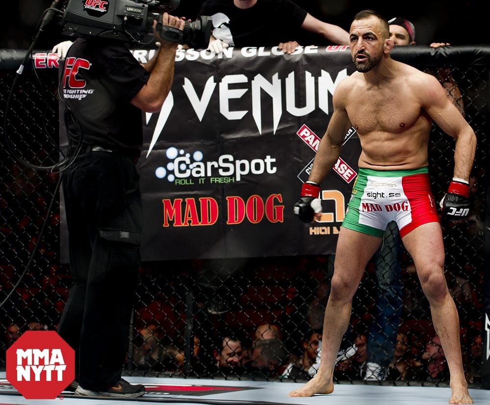 Reza Madadi MMAnytt