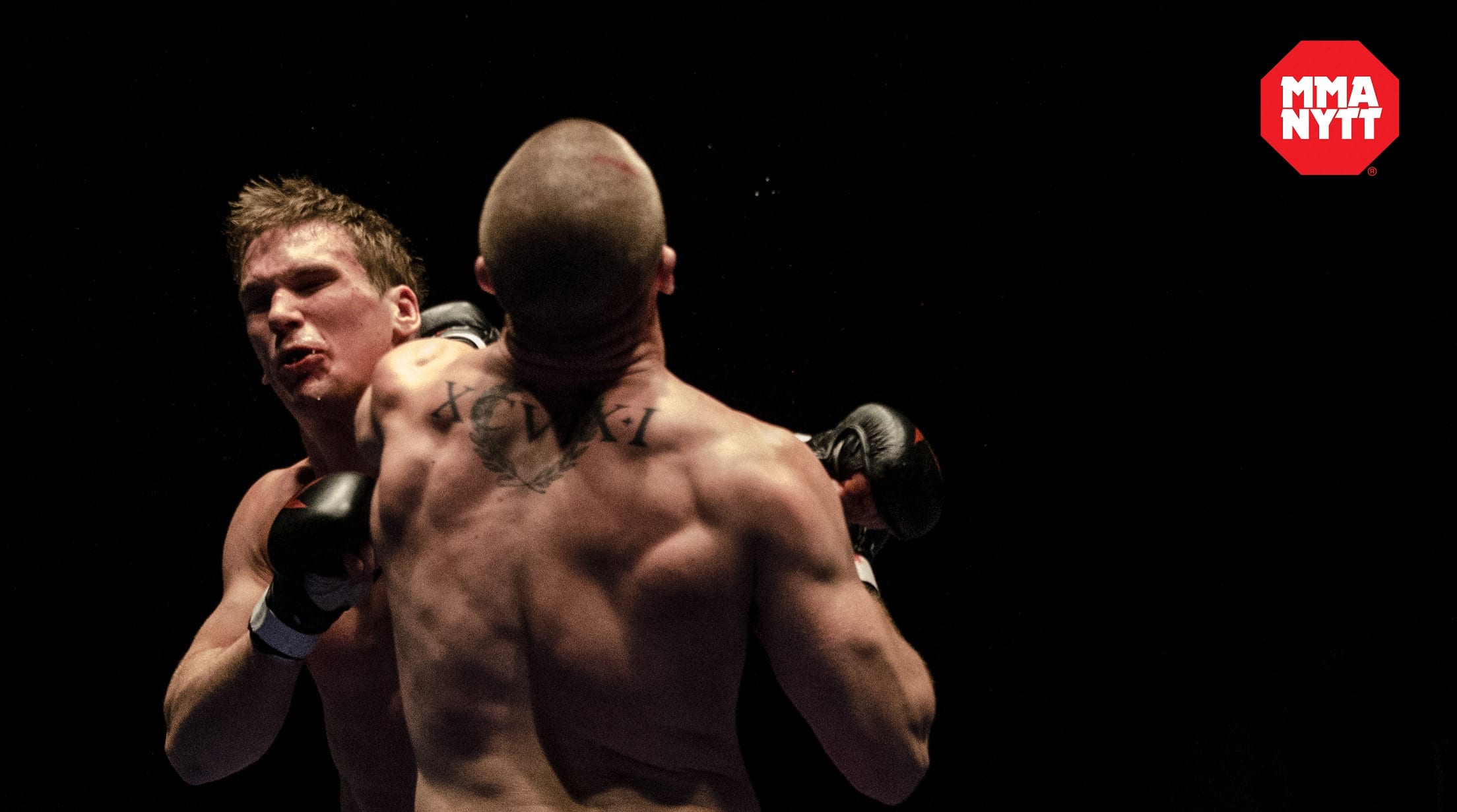 SM Amatör MMA Shootfighting Baltiska hallen Foto – Mattias Persson (8)