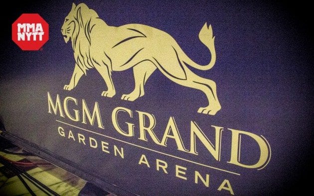 UFC 162 Backdrop lion mgm grand mmanytt garden arena studiomma