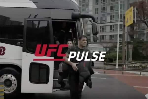 UFC-pulse-2