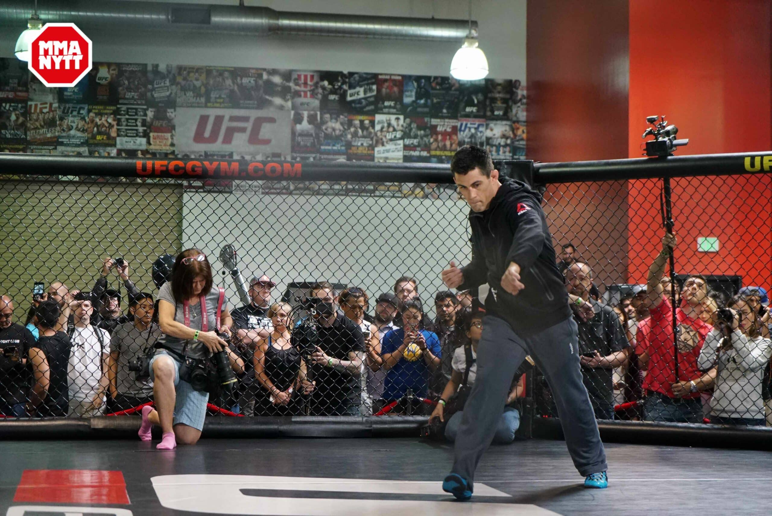 UFC 199 Dominick Cruz Open Workouts