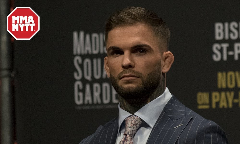 Cody Garbrandt UFC 217 presskonferens