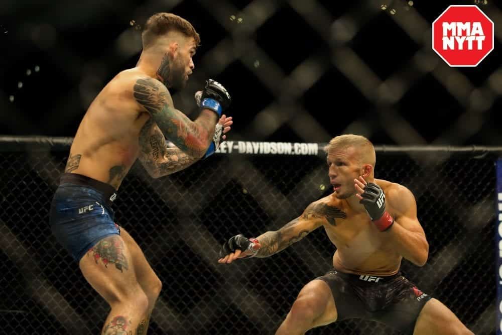 Cody Garbrandt vs TJ Dillashaw UFC 227 MMAnytt Photo Dan Wainer-Ag Fight