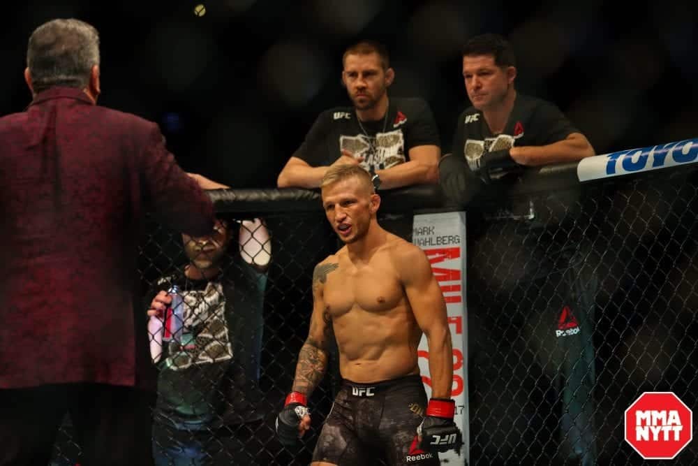 TJ Dillashaw UFC 227 MMAnytt Photo Dan Wainer-Ag Fight