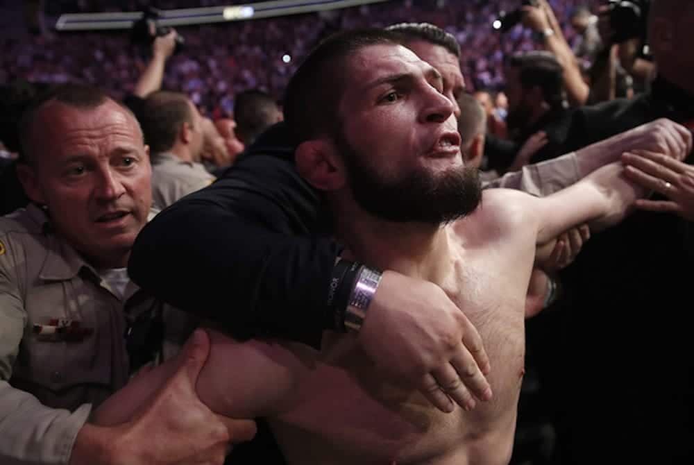 Khabib UFC 229 Nurmagomedov UFC 229 Chaos