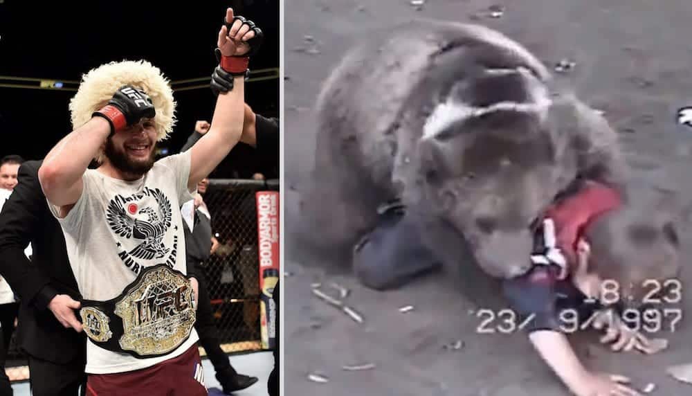 Khabib Nurmagomedov vs Bear