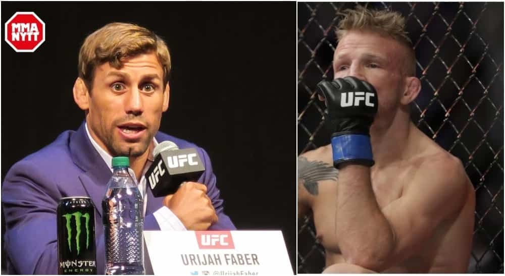 Urijah Faber TJ Dillashaw