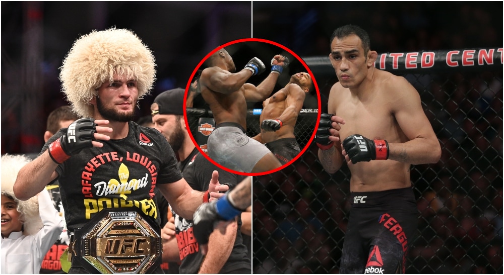 Khabib Nurmagomedov Tony Ferguson Francis Ngannou Per Häljestam Jerry Lai