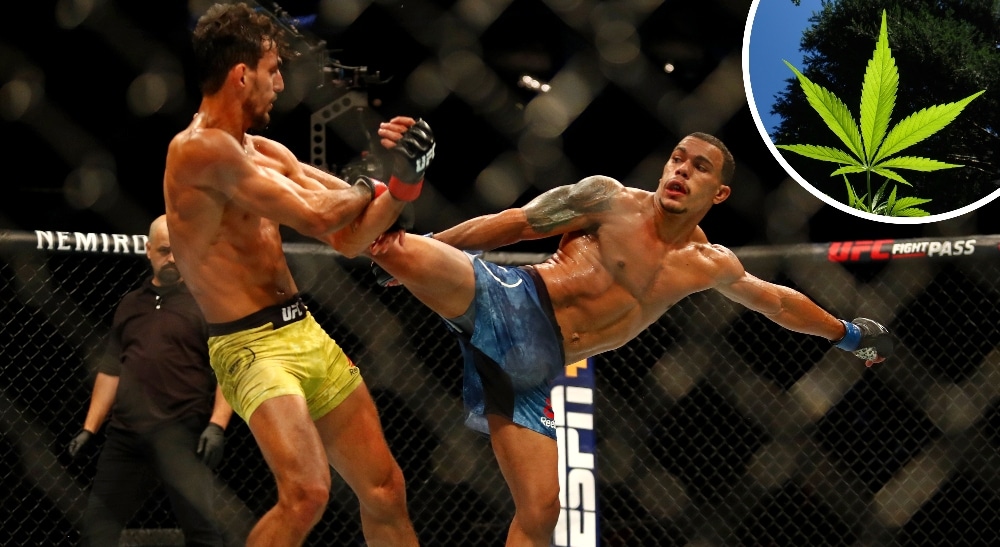 Ricardo Ramos Journey Newson UFC Fight Night-Minneapolis cannabis Foto USA TODAY Sports