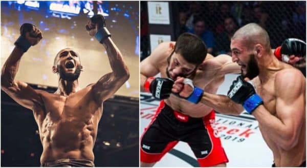 Khamzat Chimaev UFC MMA Borz