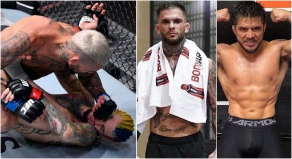 Sean O'Malley Cody Garbrandt Henry Cejudo