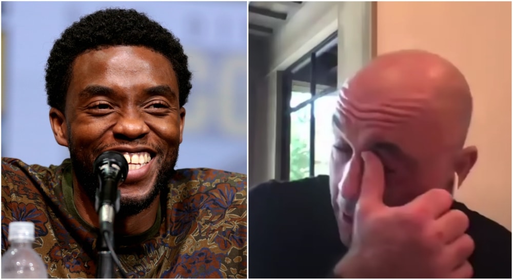 Joe Rogan Chadwick Boseman UFC MMA Bryter ihop