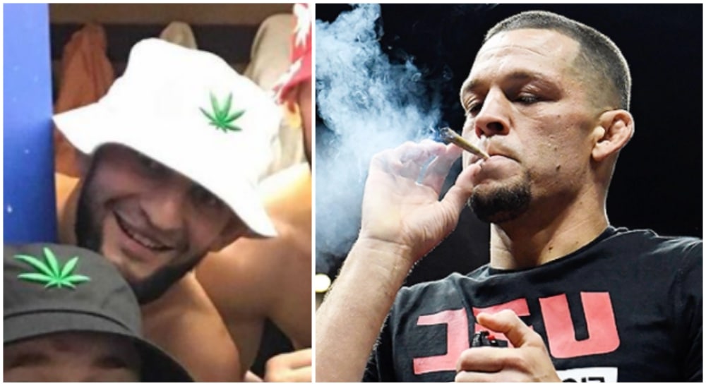 Khamzat Chimaev Nate Diaz cannabis ufc mma