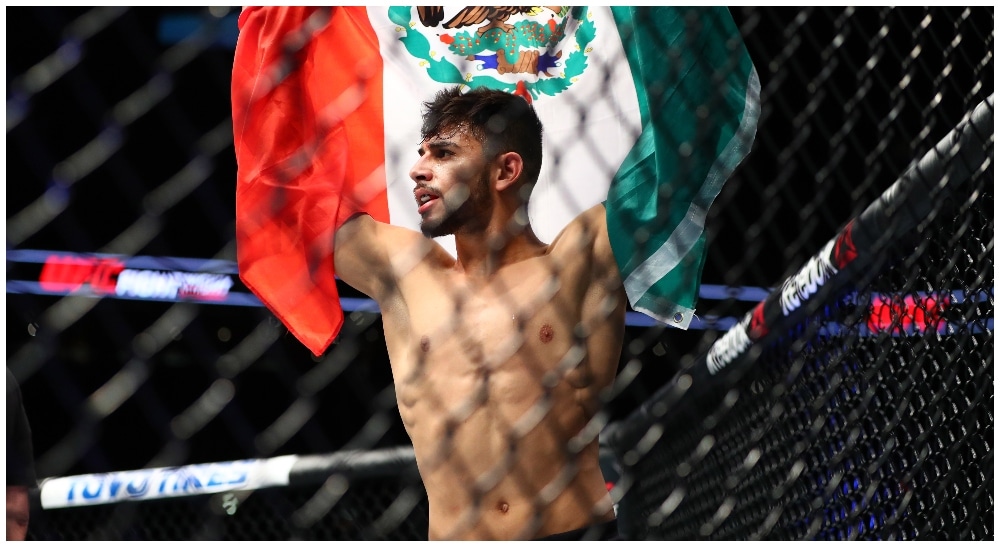 Yair Rodriguez (© Mark J. Rebilas-USA TODAY Sports)