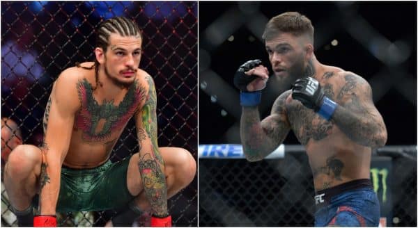 MMAnytt Sean O'Malley Cody Garbrandt