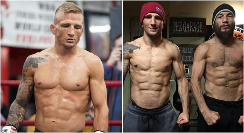 TJ Dillashaw, @tjdillashaw