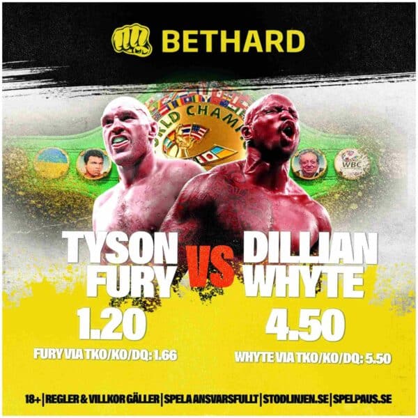 Tyson Fury Bethard