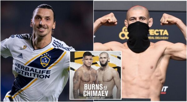 Zlatan Ibrahimovic Khamzat Chimaev