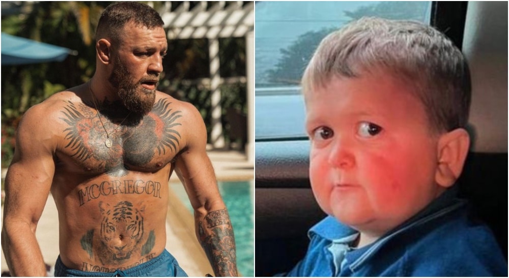 MMAnytt Conor McGregor Hasbulla