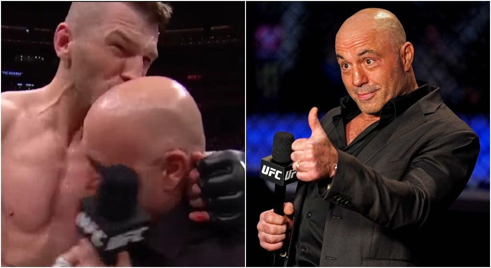 MMAnytt Joe Rogan Dan Hooker