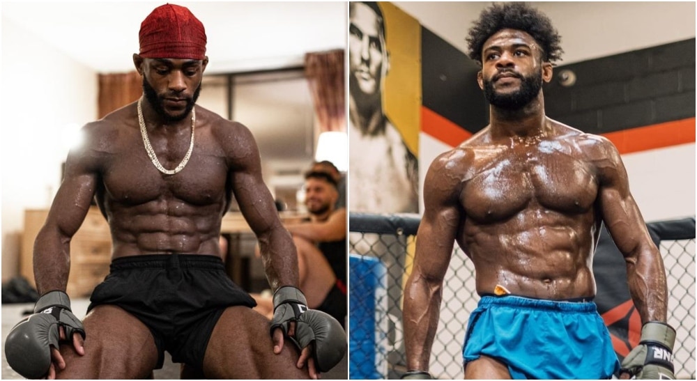 MMAnytt Aljamain Sterling