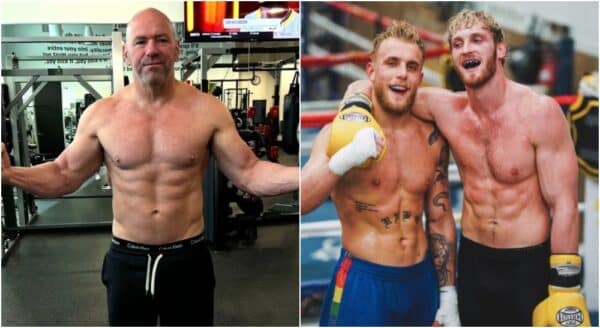 MMAnytt Dana White Jake Paul Logan Paul