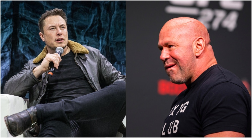 MMAnytt Elon Musk Dana White