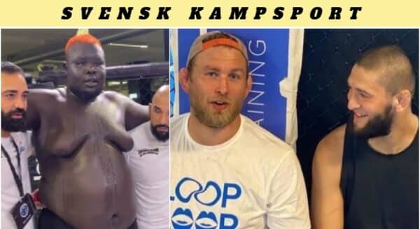 MMAnytt Megic Mike Alexander Gustafsson