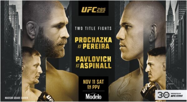 UFC 295 (1)