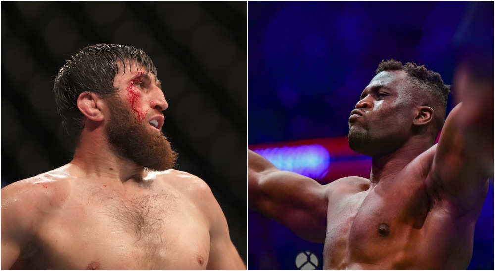 MMA News - Magomed-Ankalaev-Francis-Ngannou