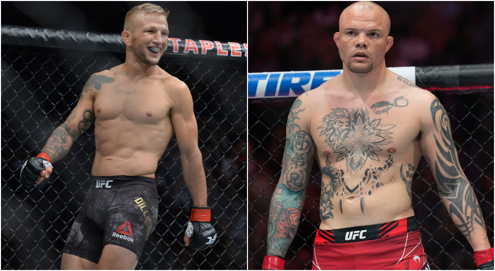 TJ Dillashaw, Anthony Smith