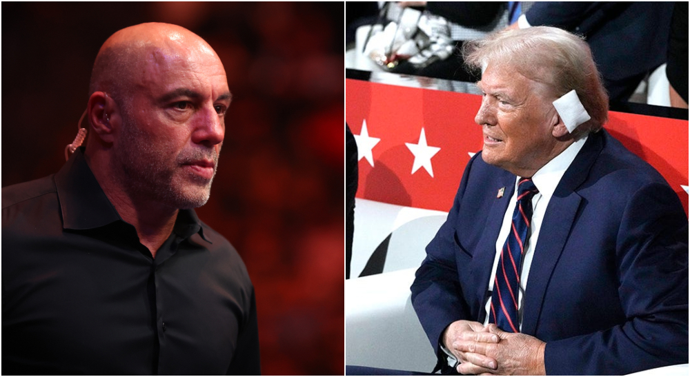 Joe Rogan, Donald Trump