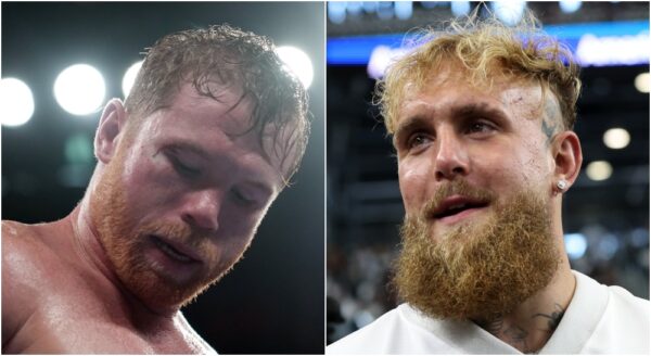 Jake Paul rasar mot Canelo Alvarez: “Girig ekorre”